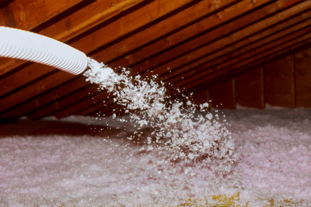 Best Insulation Repair Services  in York Harbor, ME